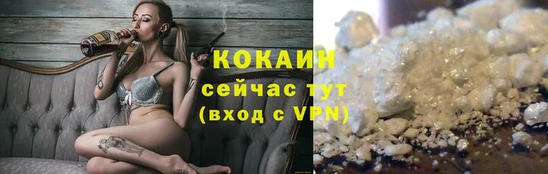 Cocaine Fish Scale  купить наркотики сайты  Армавир 